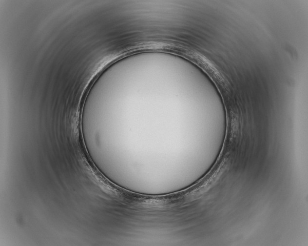 X0000112171178200908281333