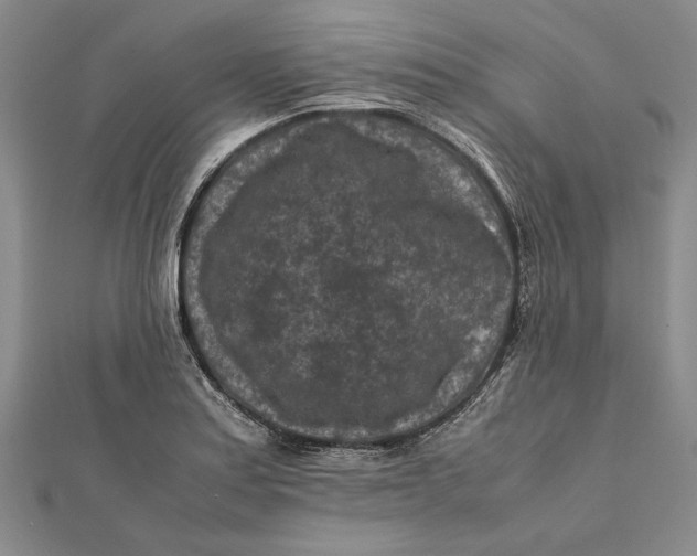 X0000112171179200908281333