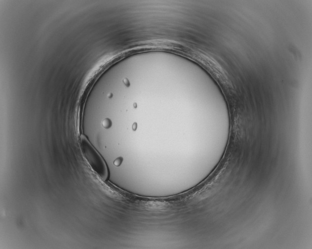 X0000112171180200908281333