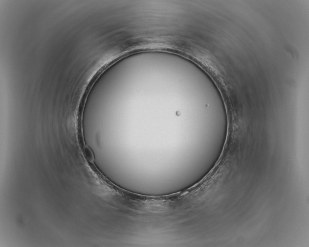 X0000112171181200908281333