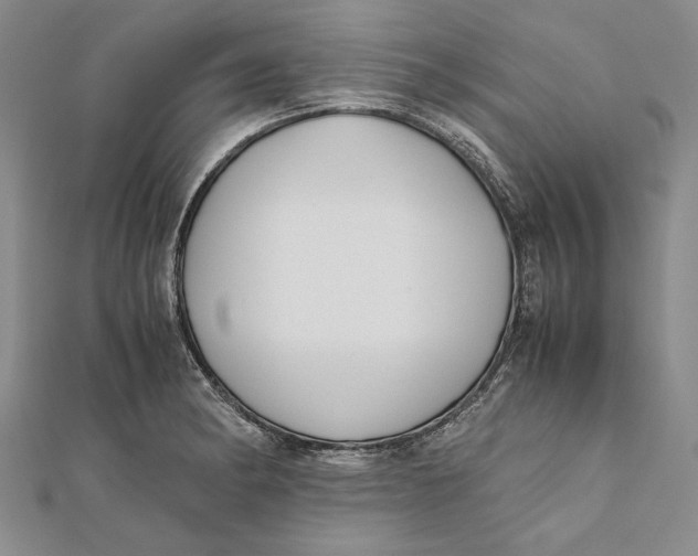 X0000112171182200908281333