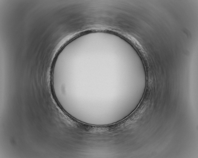 X0000112171183200908281333