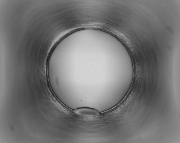 X0000112171184200908281333