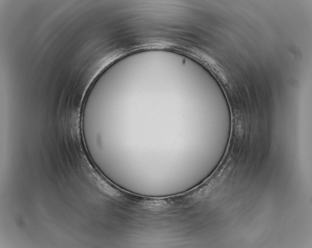 X0000112171186200908281333