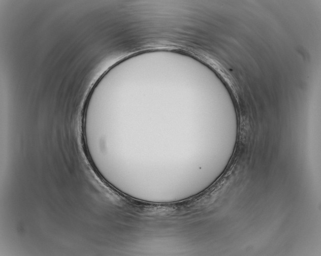 X0000112171187200908281333