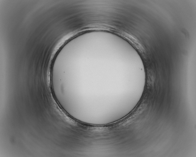 X0000112171188200908281333