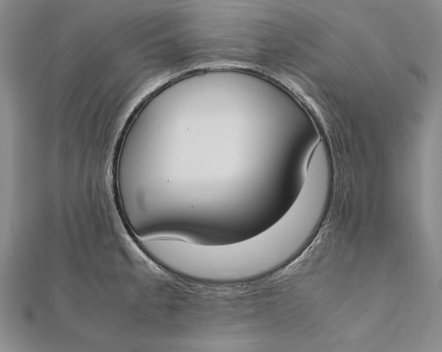 X0000112171189200908281333