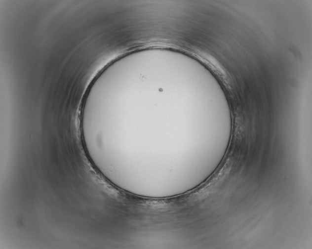 X0000112171190200908281333