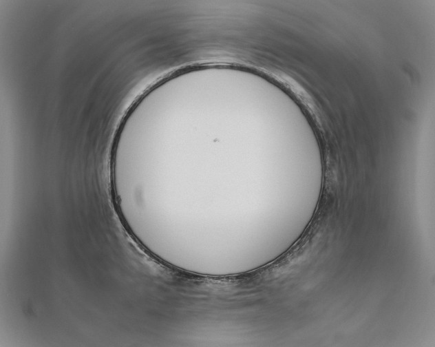 X0000112171191200908281333