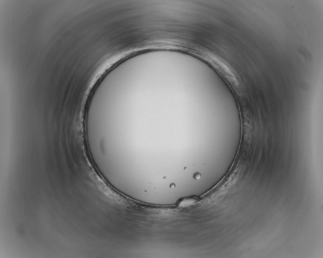 X0000112171192200908281333