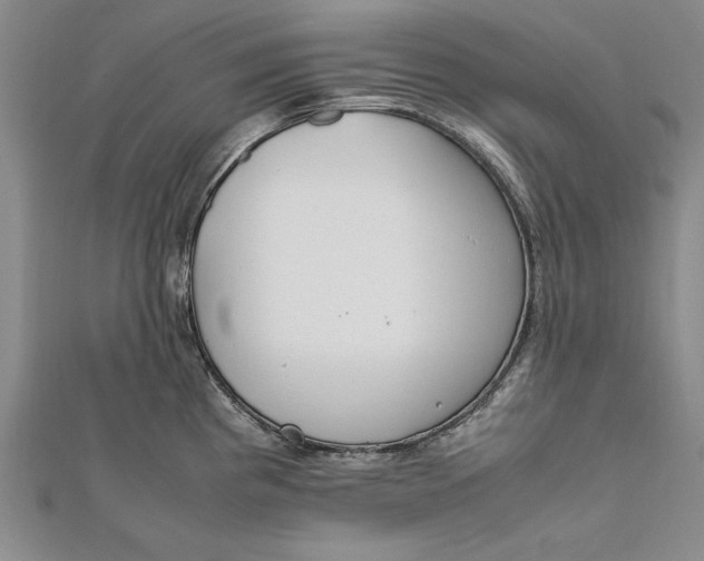 X0000112171193200908281333