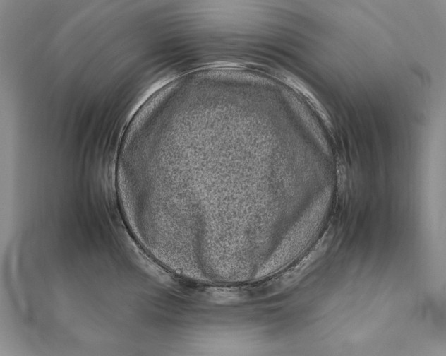 X0000112171194200908281333