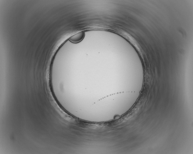 X0000112171195200908281333