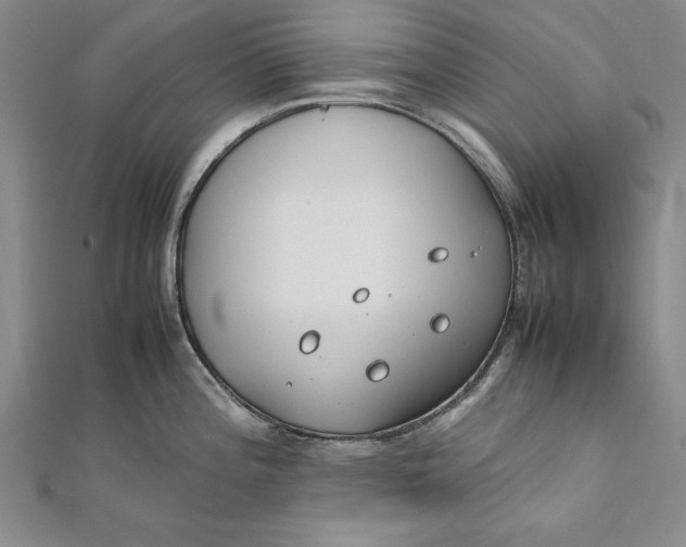 X0000112171196200908281333