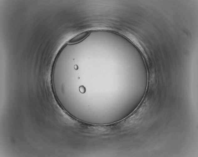 X0000112171197200908281333