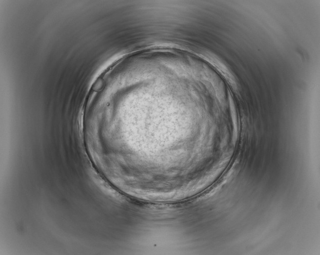 X0000112171198200908281333