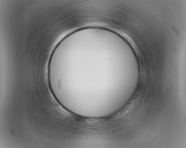 X0000112171199200908281333