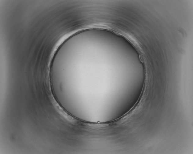 X0000112171200200908281333