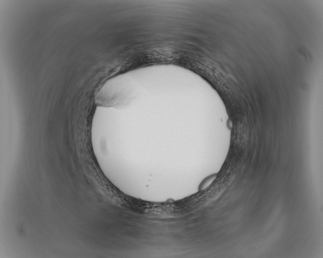 X0000112171201200908281332