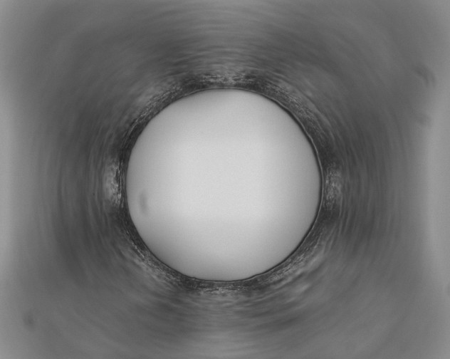 X0000112171202200908281332