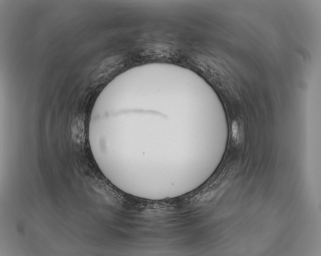 X0000112171203200908281332