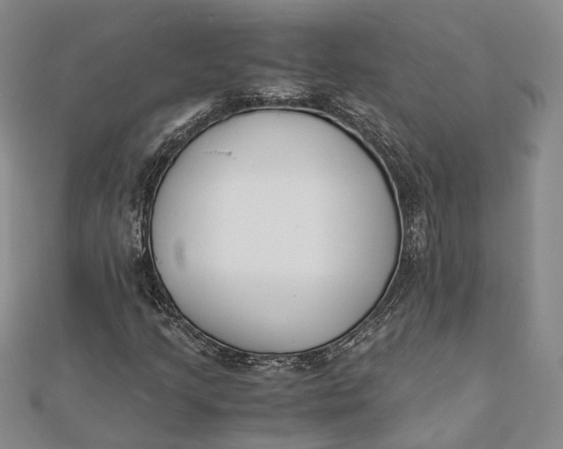 X0000112171205200908281332