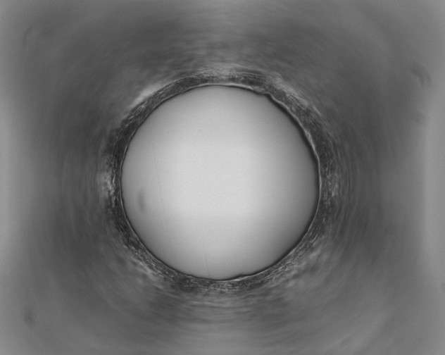 X0000112171206200908281332