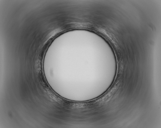 X0000112171211200908281332