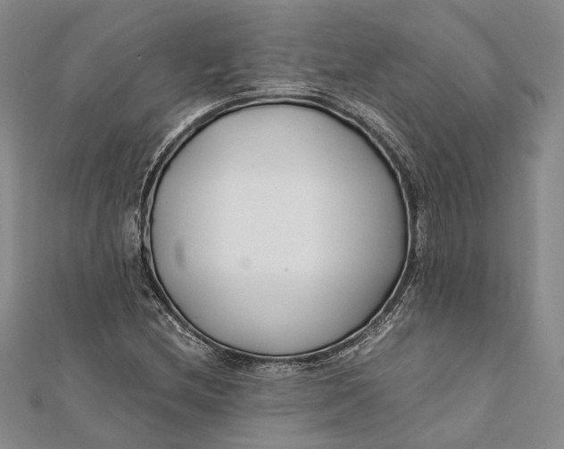 X0000112171212200908281332