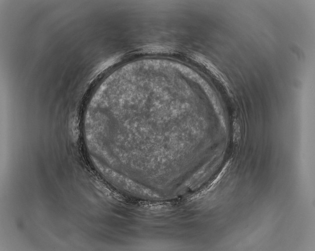 X0000112171213200908281332