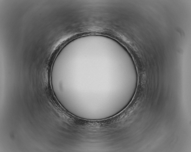 X0000112171214200908281332