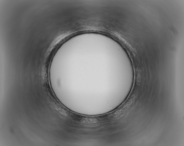 X0000112171215200908281332