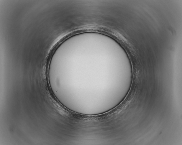 X0000112171216200908281332