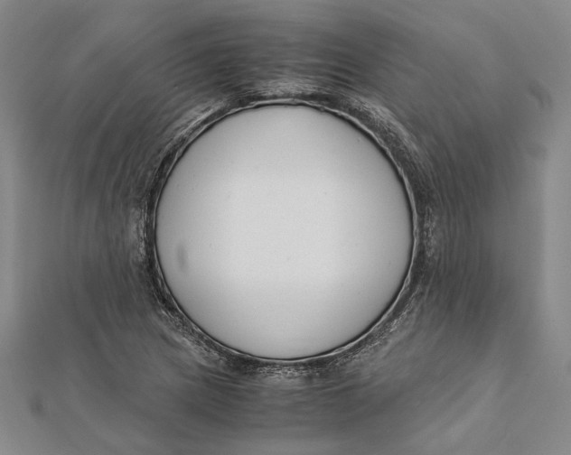 X0000112171217200908281332