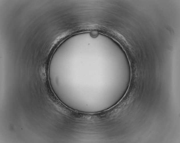 X0000112171218200908281333