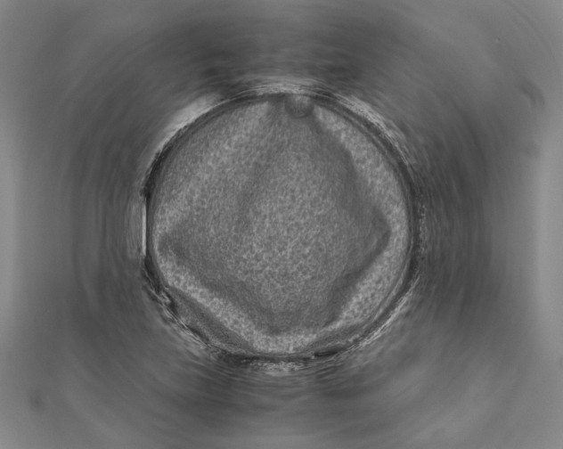 X0000112171219200908281333