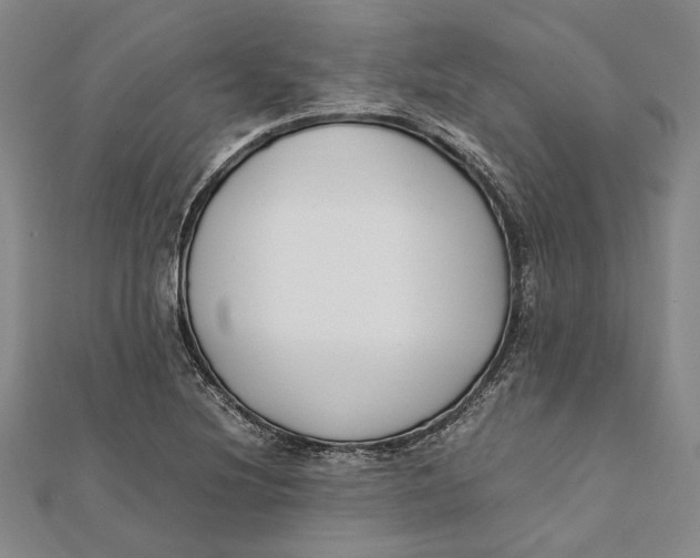 X0000112171220200908281333