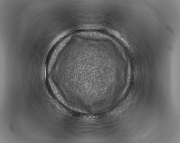 X0000112171221200908281333