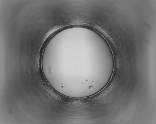 X0000112171222200908281333