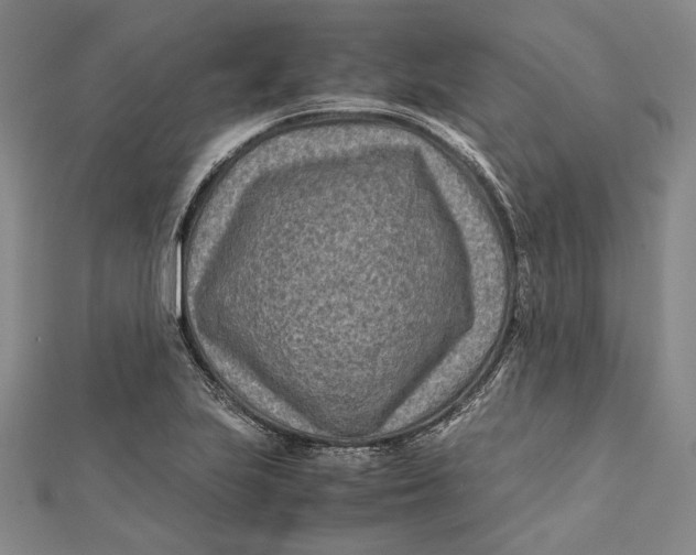 X0000112171223200908281333