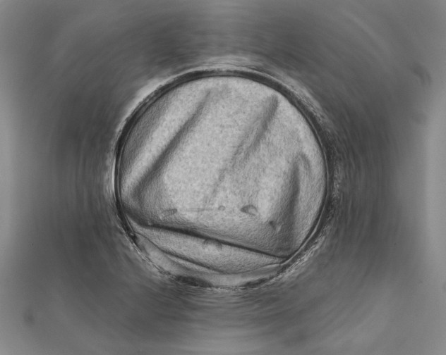 X0000112171224200908281333