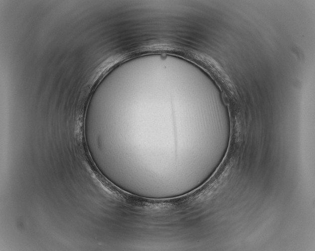 X0000112171225200908281333