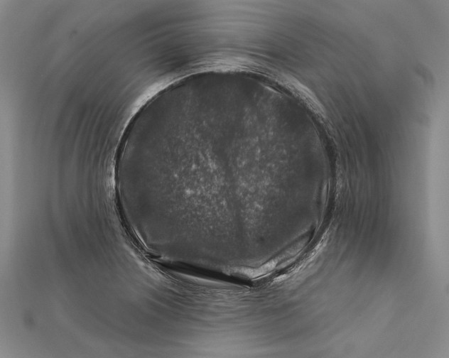 X0000112171226200908281333