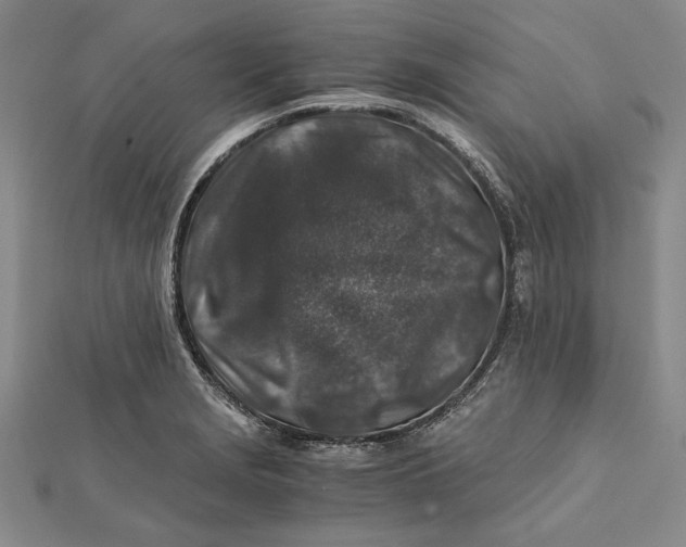 X0000112171229200908281333