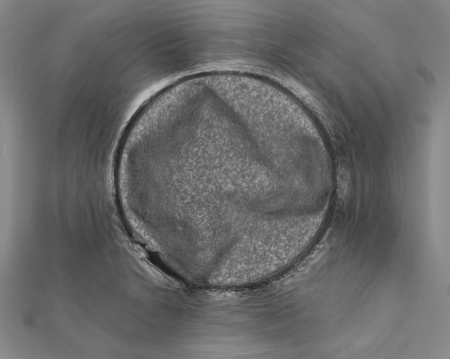 X0000112171230200908281333