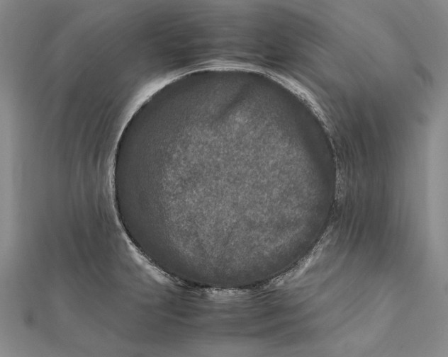 X0000112171231200908281333