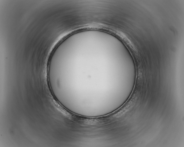 X0000112171232200908281333