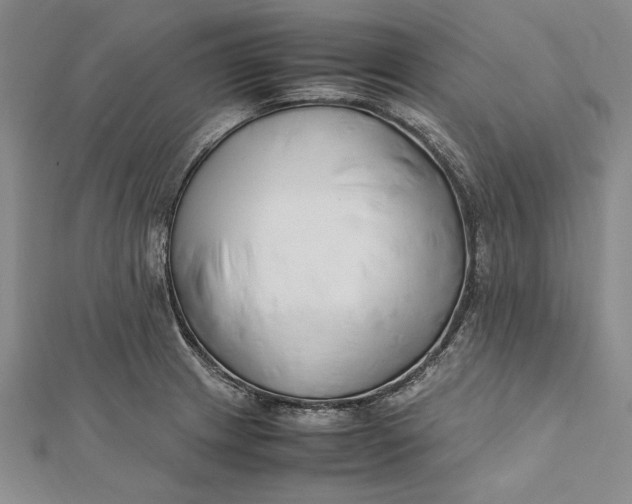 X0000112171233200908281333