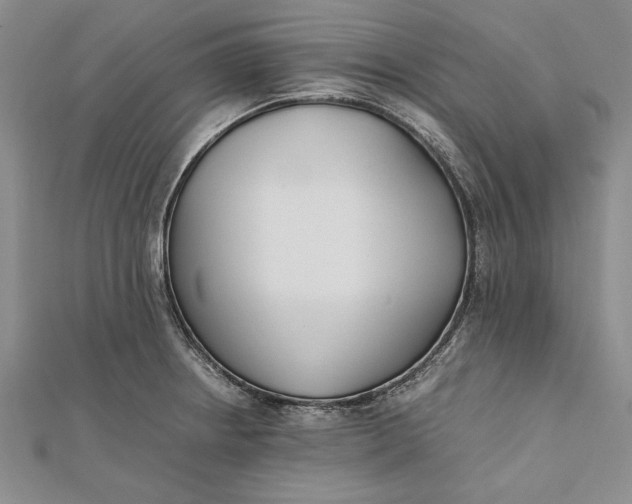 X0000112171234200908281333