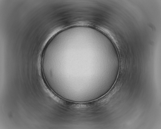 X0000112171235200908281333